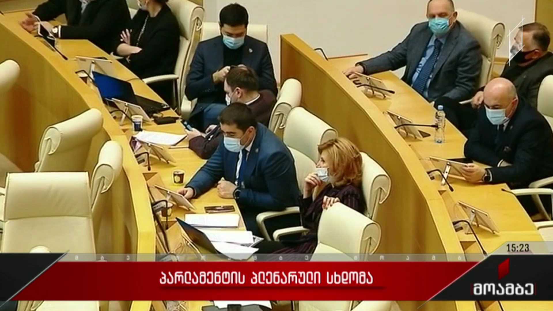 პარლამენტის პლენარული სხდომა