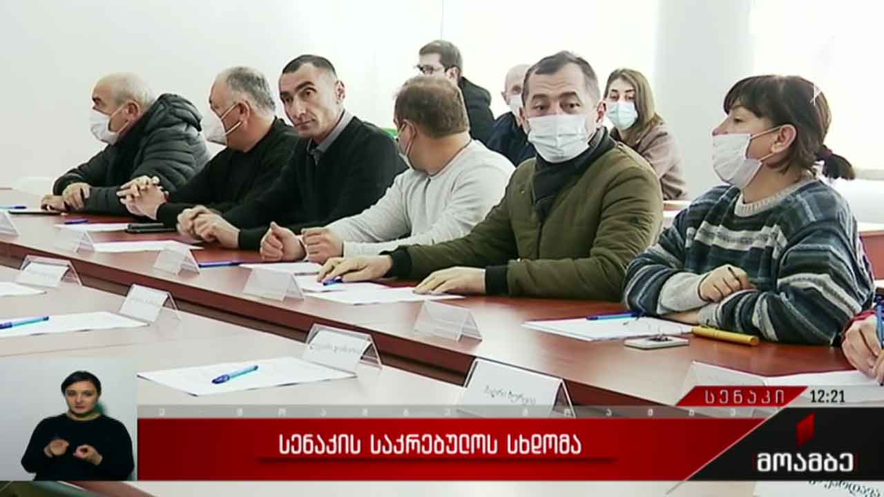 სენაკის საკრებულოს სხდომა