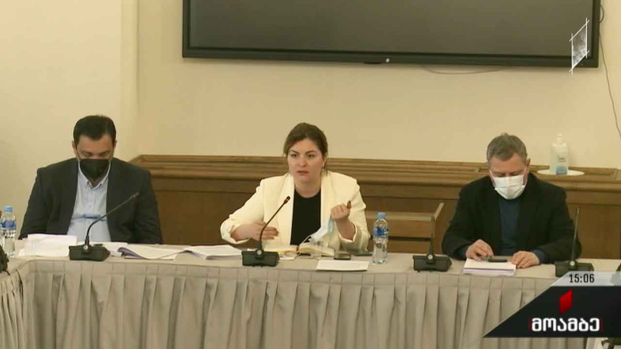 კანონპროექტი სახელმწიფო ინსპექტორის სამსახურის შესახებ