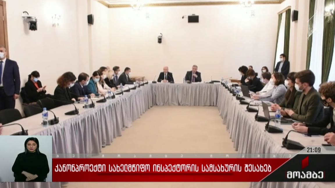 კანონპროექტი სახელმწიფო ინსპექტორის სამსახურის შესახებ  - მხარეთა პოზიციები