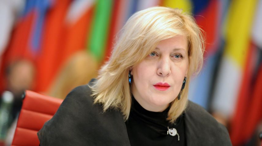 დუნია მიატოვიჩი - საქართველოს პარლამენტმა უარი უნდა თქვას კანონის მიღებაზე, რომელიც ძირს უთხრის სახელმწიფო ინსპექტორის სამსახურის დამოუკიდებელ ფუნქციონირებას