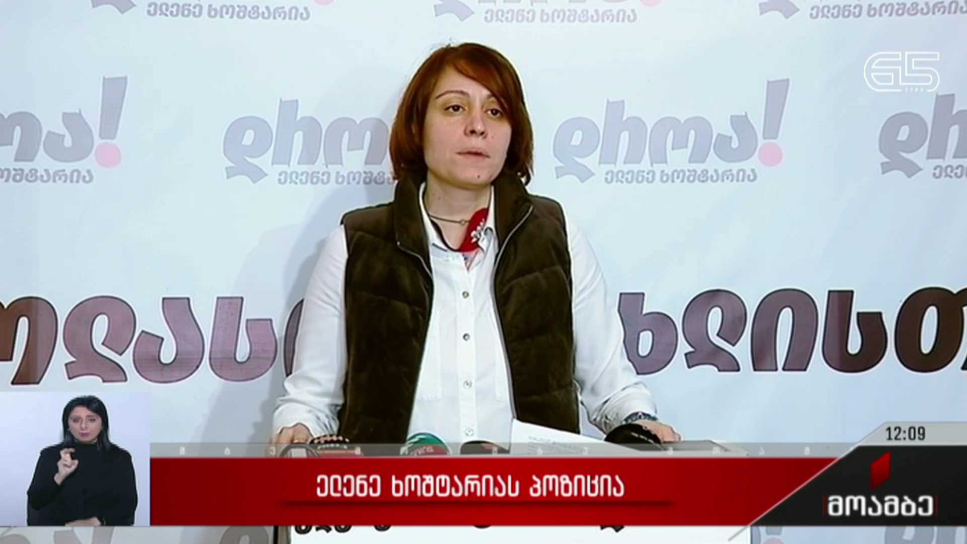 ელენე ხოშტარიას პოზიცია