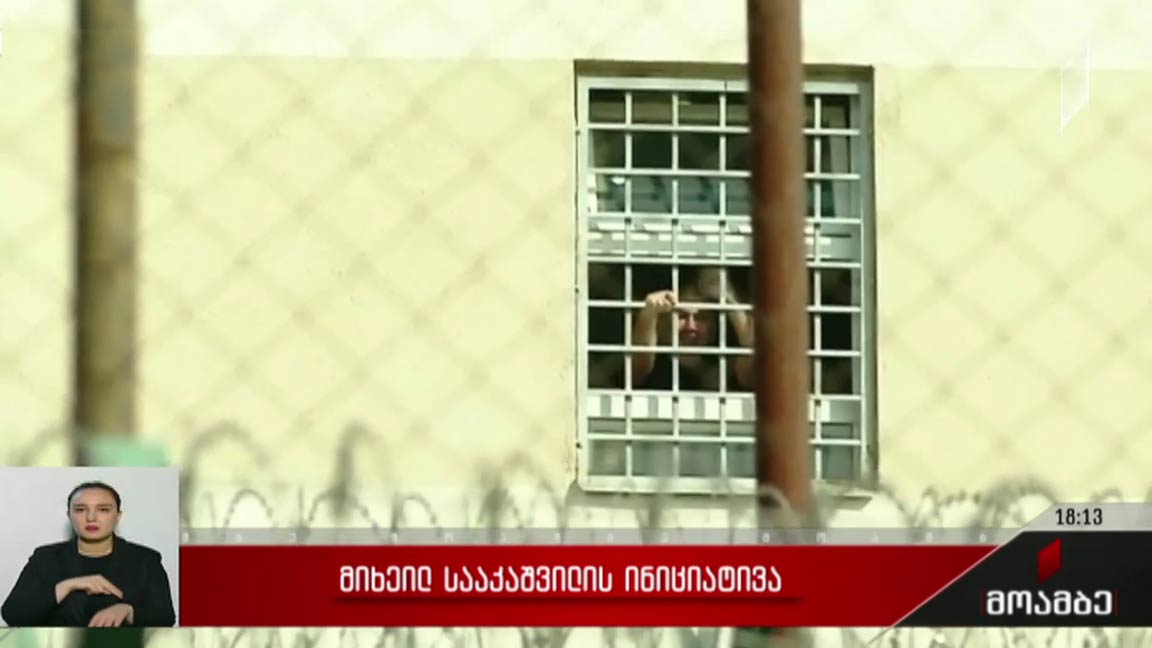 მიხეილ სააკაშვილის ინიციატივა - შეფასებები