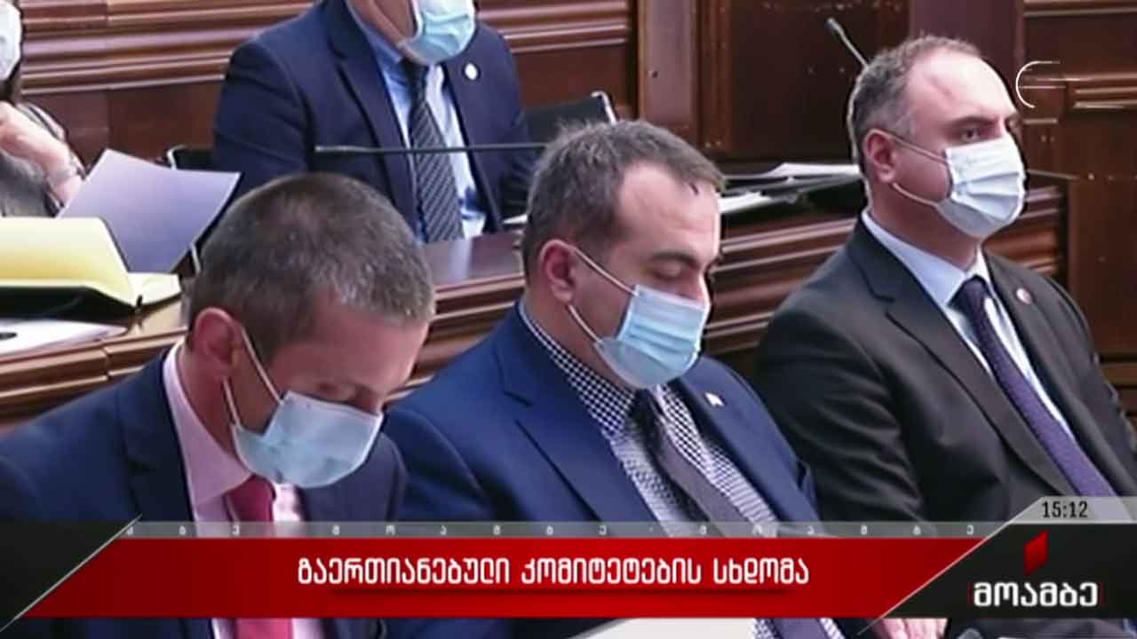 გაერთიანებული კომიტეტების სხდომა