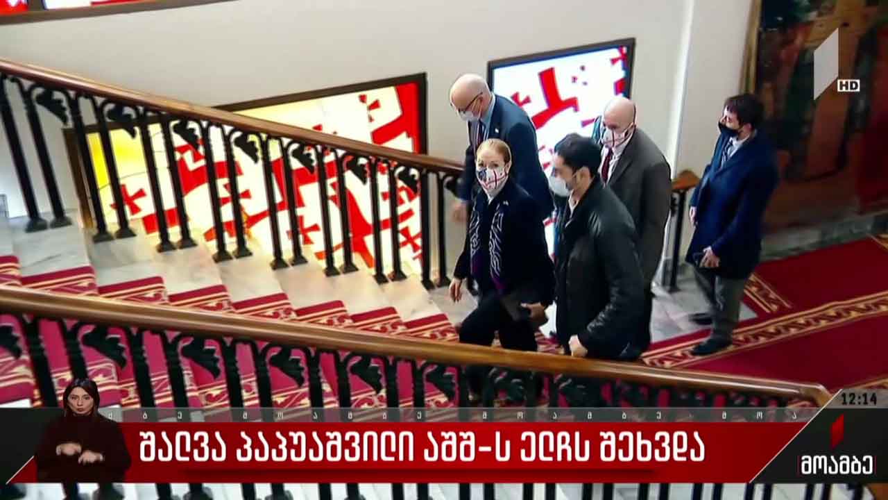 შალვა პაპუაშვილი აშშ-ის ელჩს შეხვდა