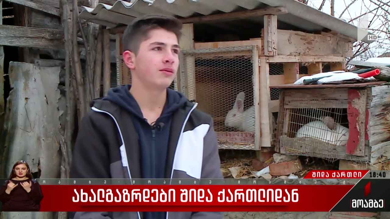ახალგაზრდები შიდა ქართლიდან