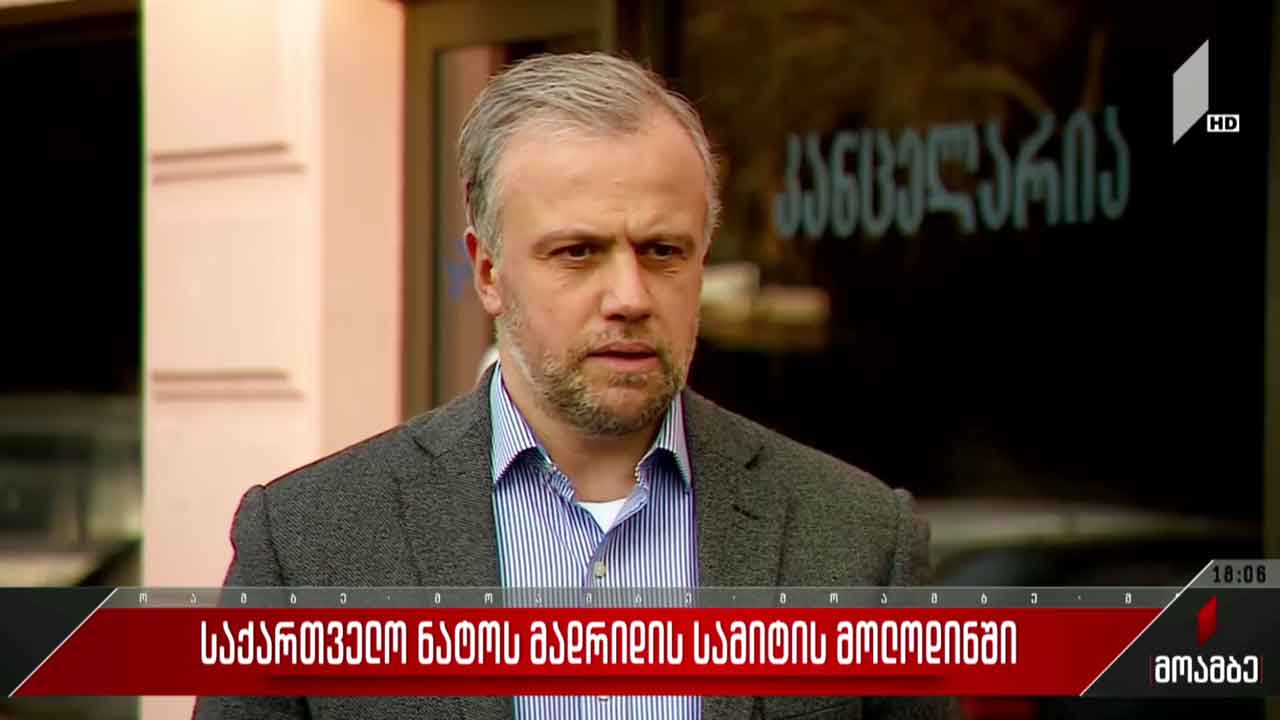 საქართველო ნატო-ს მადრიდის სამიტის მოლოდინში