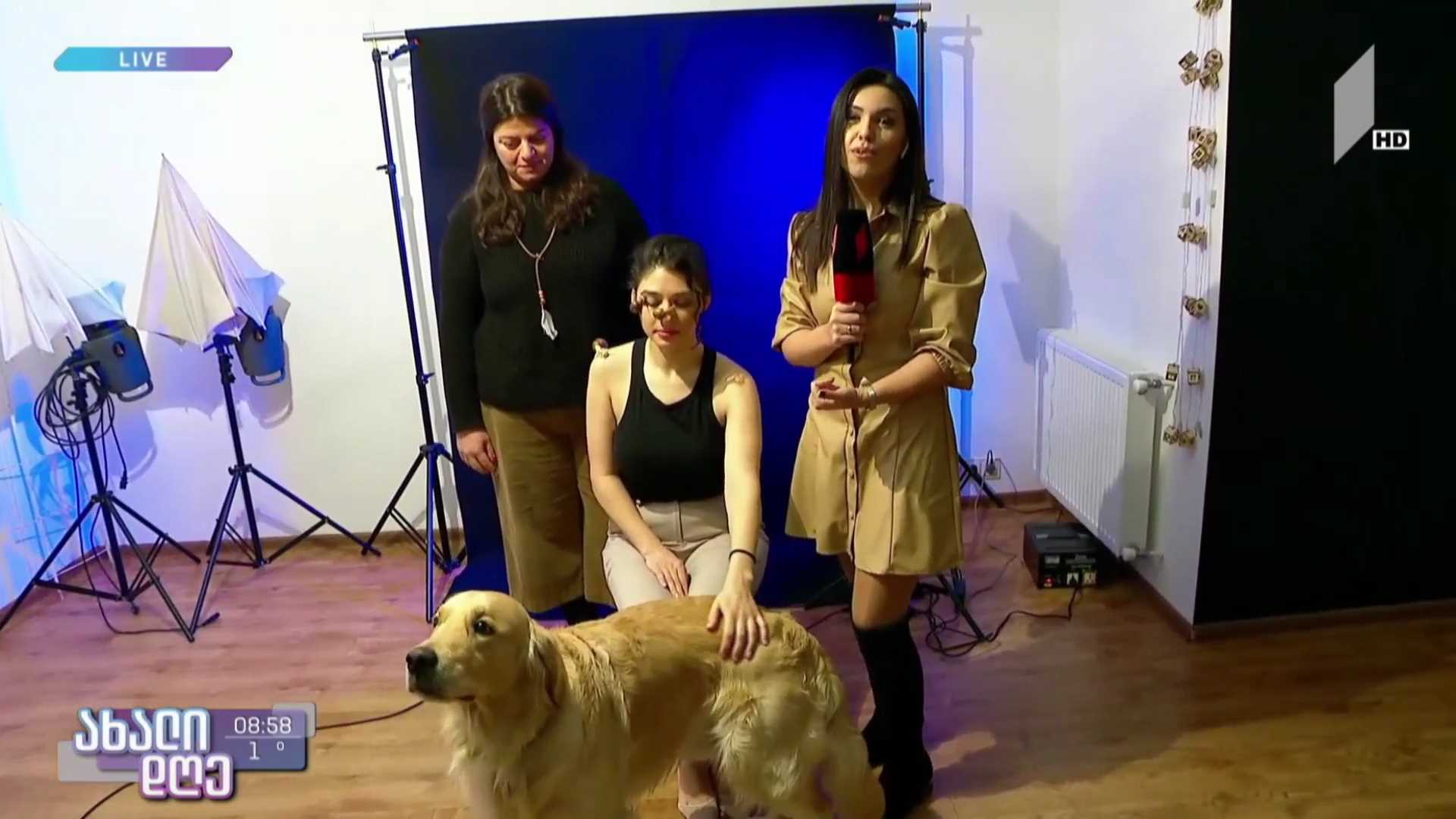 ცხოველების ფოტოგრაფია