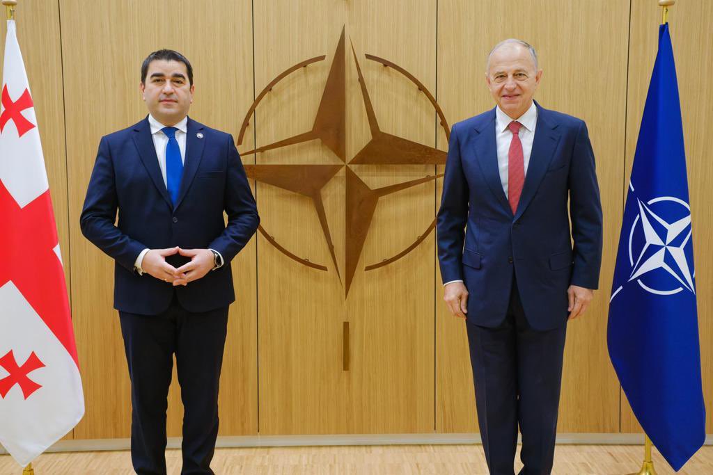 Şalva Papuaşvili Brüsseldə NATO baş katibinin müavini ilə görüşüb