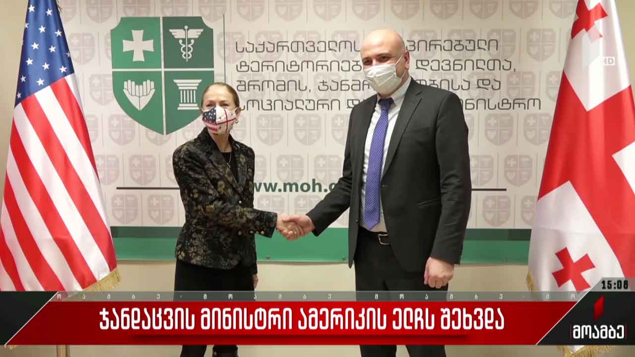 ჯანდაცვის მინისტრი ამერიკის ელჩს შეხვდა