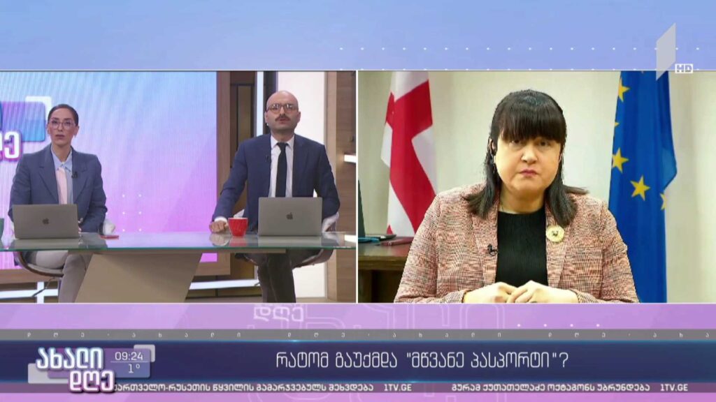 რატომ გაუქმდა „მწვანე პასპორტი“? – თამარ გაბუნიას ჩართვა #ახალდღეში