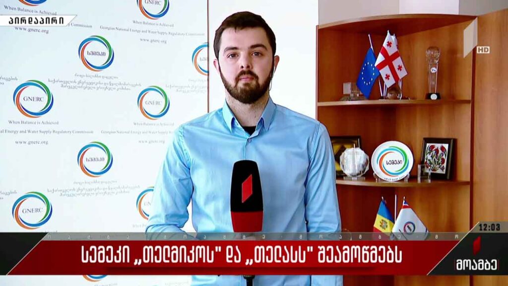 სემეკი „თელმიკოსა“ და „თელასს“ შეამოწმებს