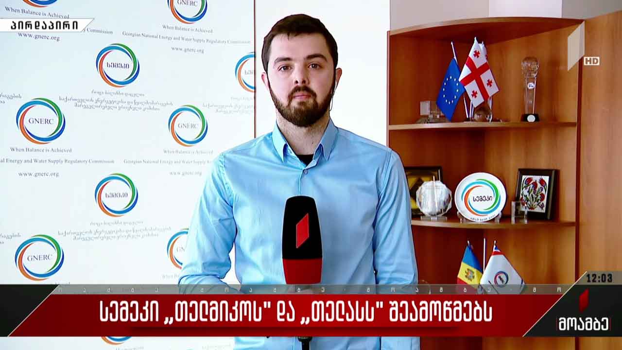 სემეკი „თელმიკოსა“ და „თელასს“ შეამოწმებს