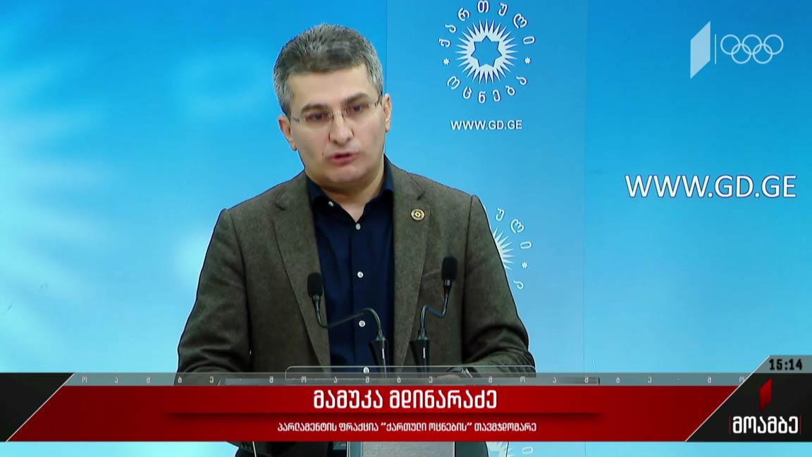 მამუკა მდინარაძის განცხადება - გამოხმაურება