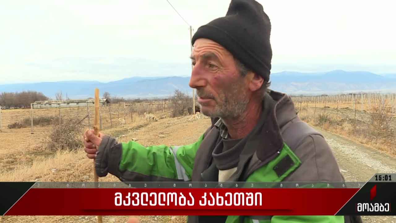 მკვლელობა კახეთში