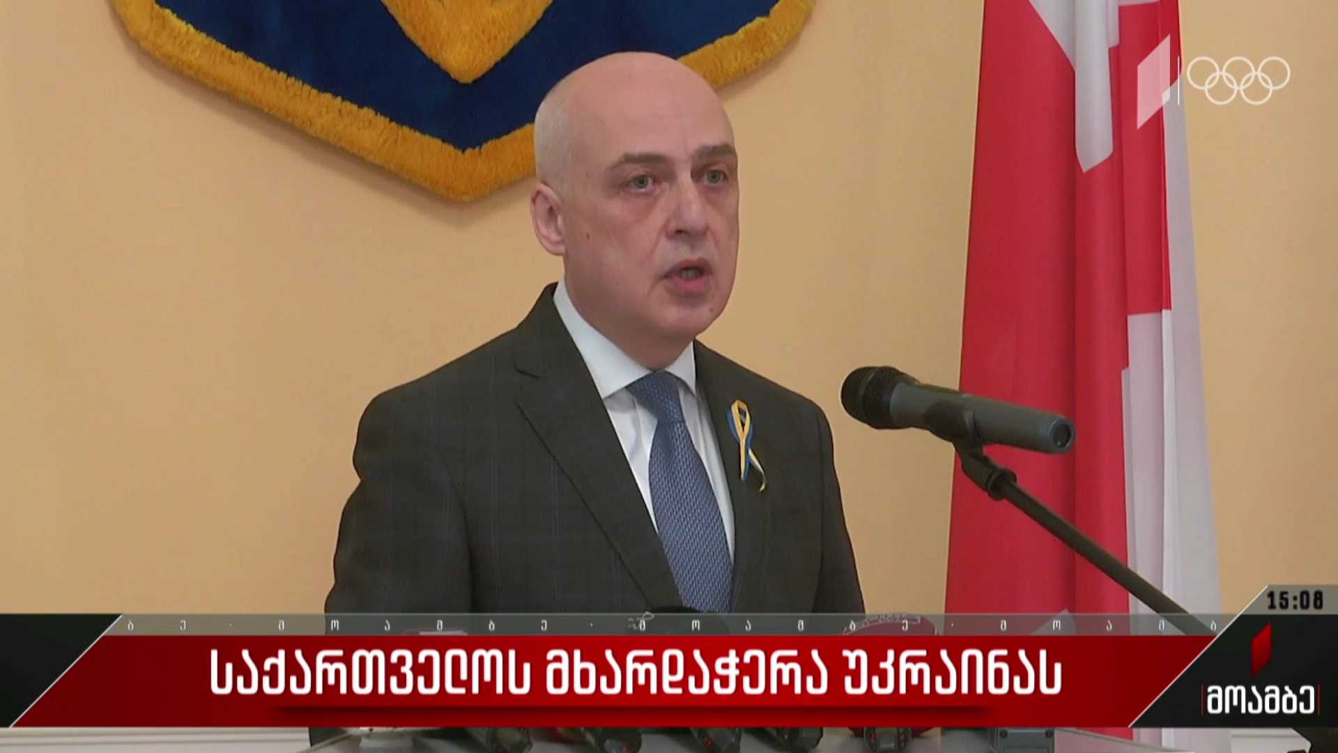 საქართველოს მხარდაჭერა უკრაინას