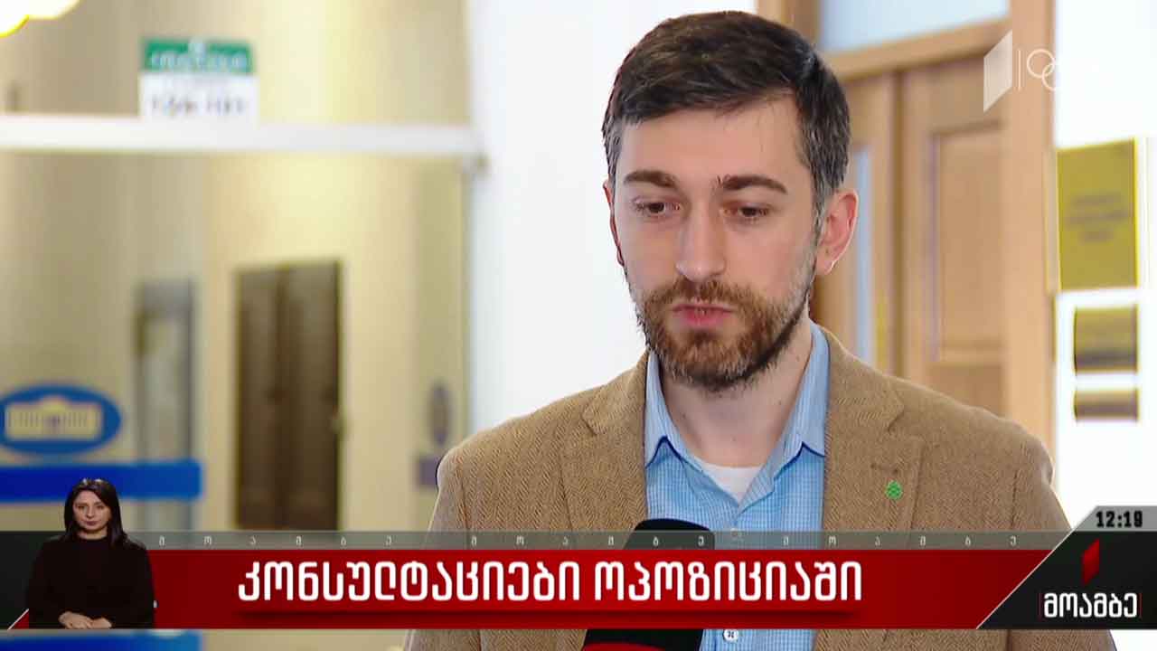 კონსულტაციები ოპოზიციაში