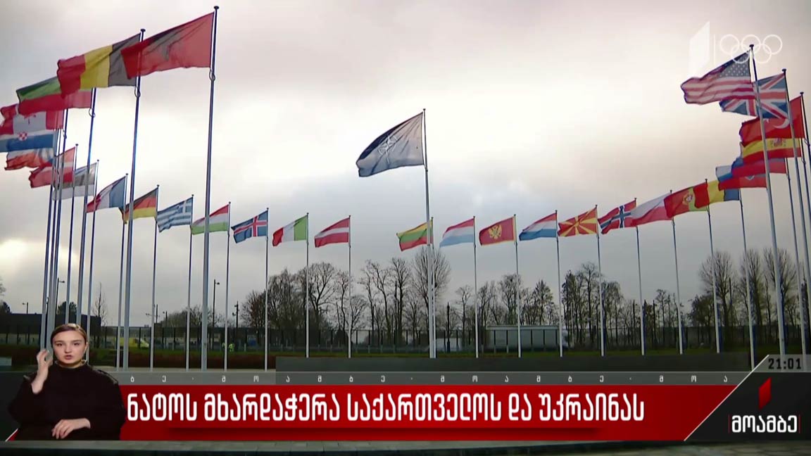 ნატოს მხარდაჭერა საქართველოს და უკრაინას 