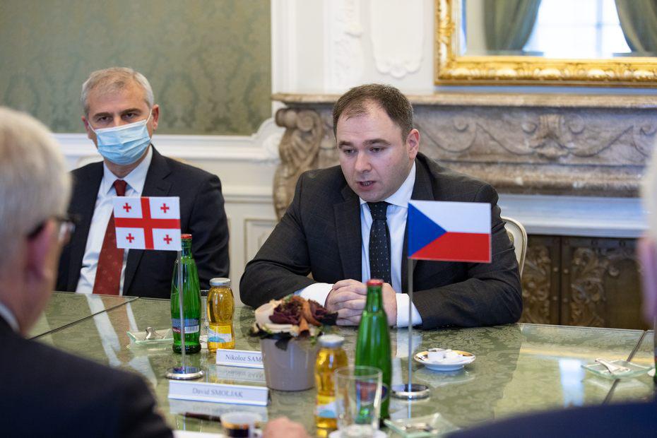 საქართველოს საპარლამენტო დელეგაცია ოფიციალური ვიზიტით ჩეხეთში იმყოფება