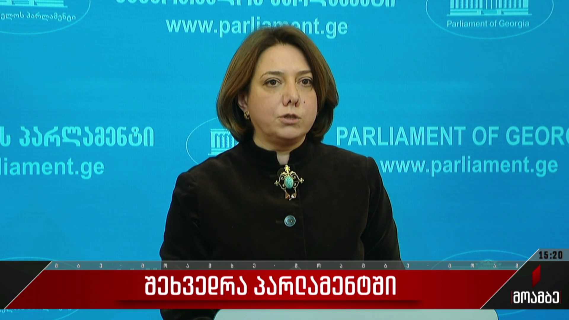 შეხვედრა პარლამენტში