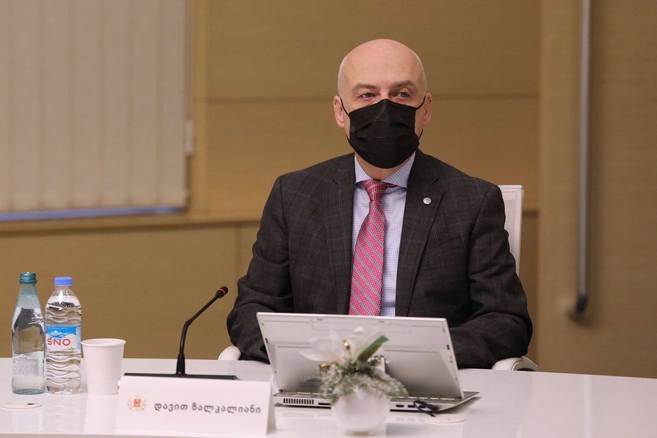 David Zalkaliani ABŞ Dövlət Departamentinin müşaviri ilə telefon danışığı apardı