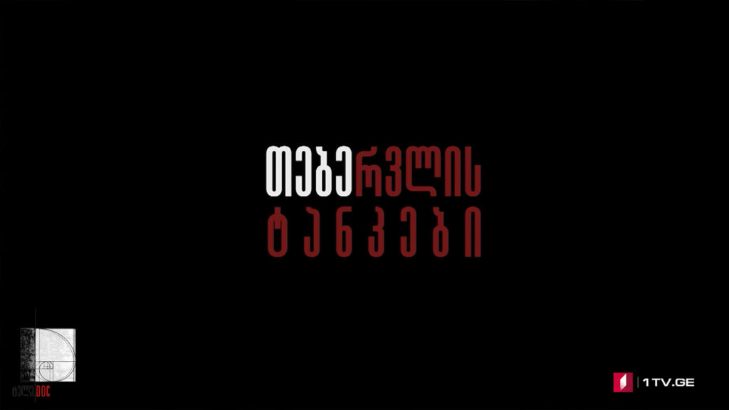 „თებერვლის ტანკები“ დიმიტრი სილაქაძის #ტელედოკი