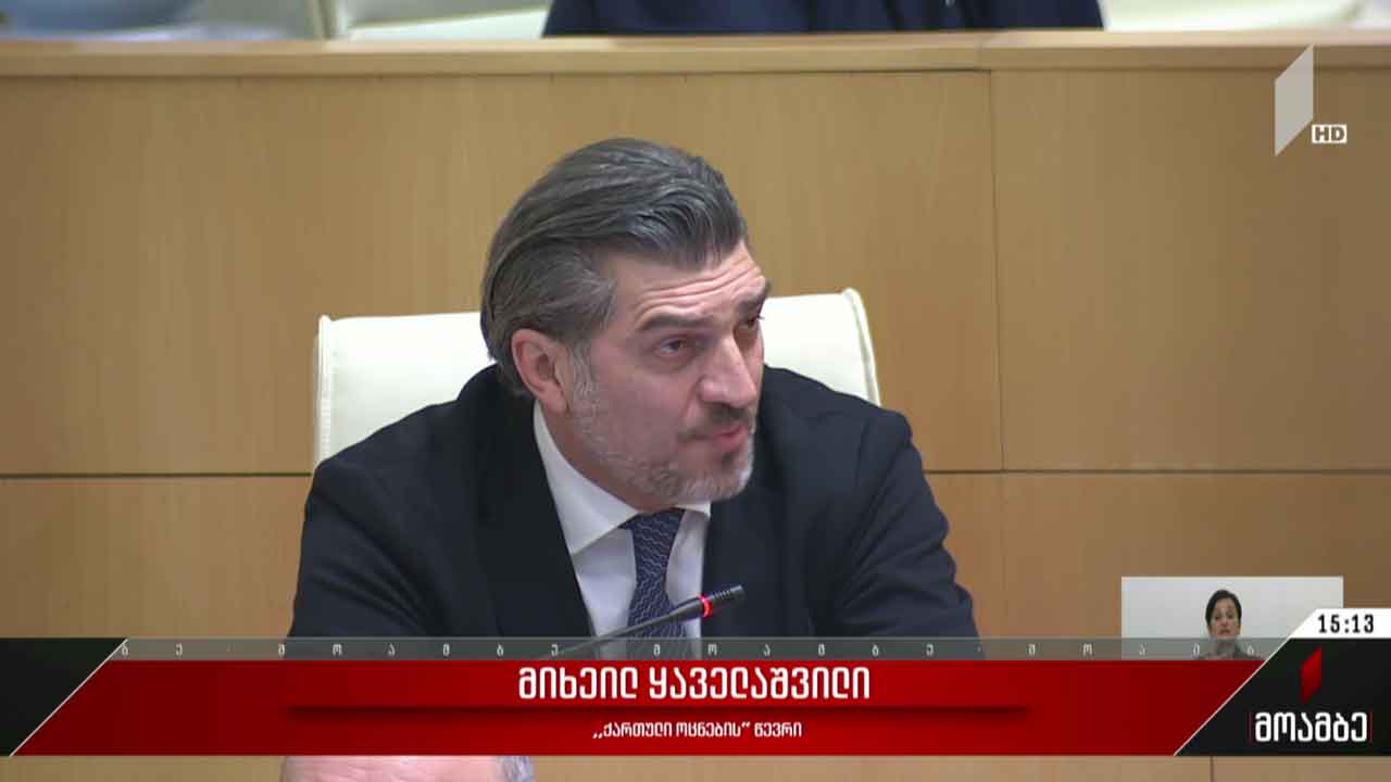 პოლიტიკური განცხადებები პარლამენტში