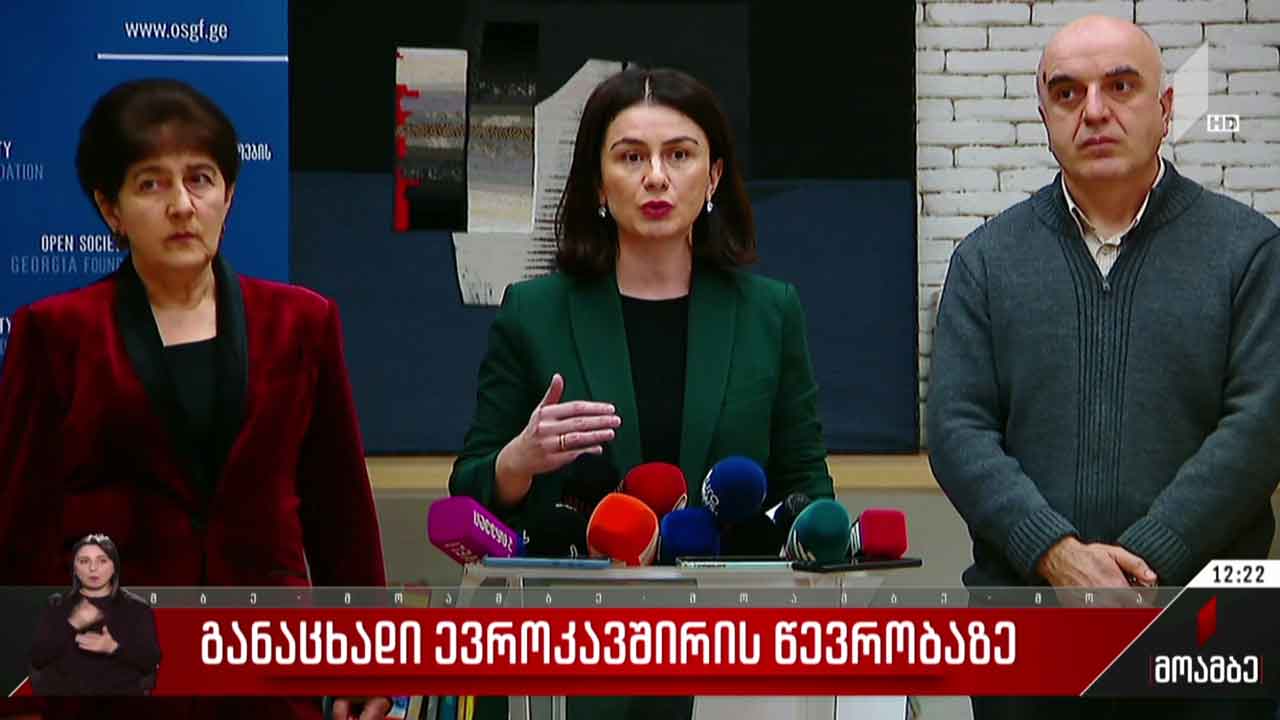 განაცხადი ევროკავშირის წევრობაზე - მესამე სექტორის გამოხმაურება