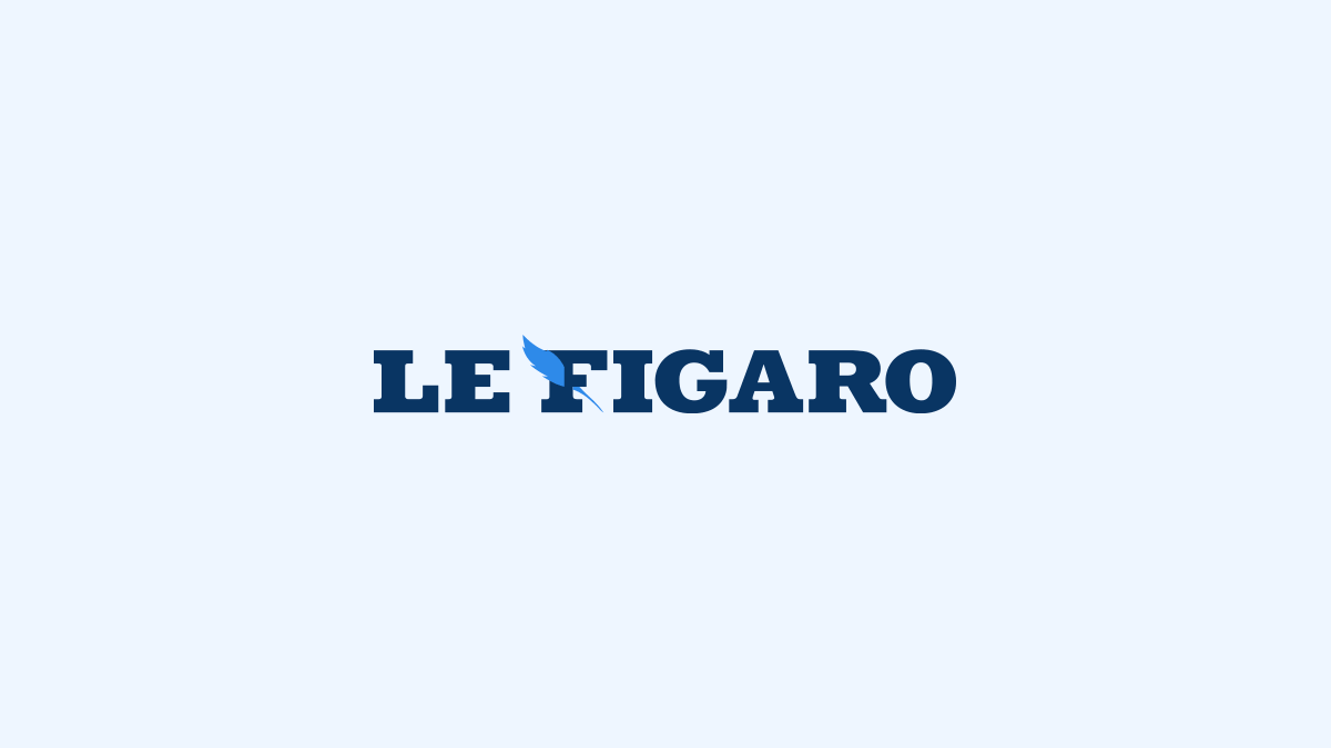 Le Figaro - საფრანგეთის მთავრობა ფრანგულ კომპანიებს მოუწოდებს, რუსული ბაზარი ნაჩქარევად არ დატოვონ