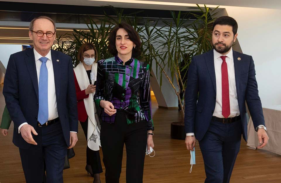 მაკა ბოჭორიშვილმა და ლევან ქარუმიძემ ევროპარლამენტში შეხვედრები გამართეს