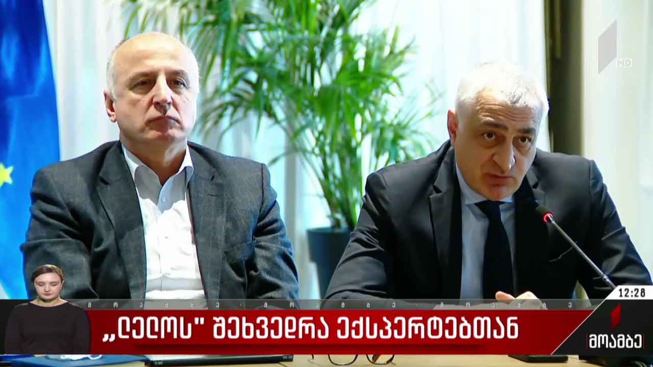 „ლელოს“ შეხვედრა ექსპერტებთან
