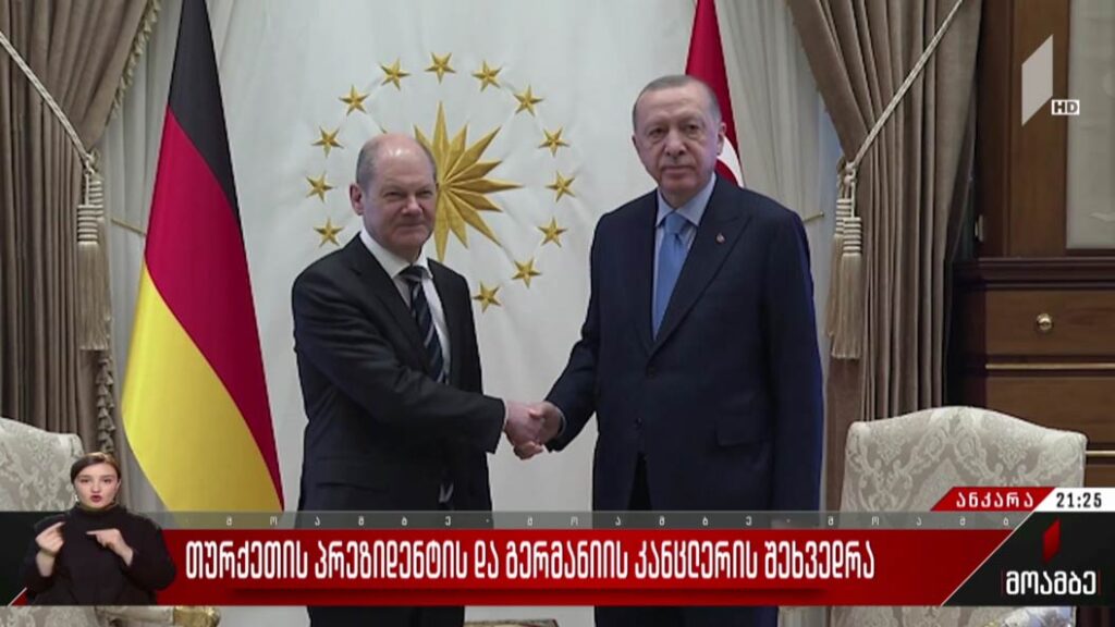 თურქეთის პრეზიდენტის და გერმანიის კანცლერის შეხვედრა