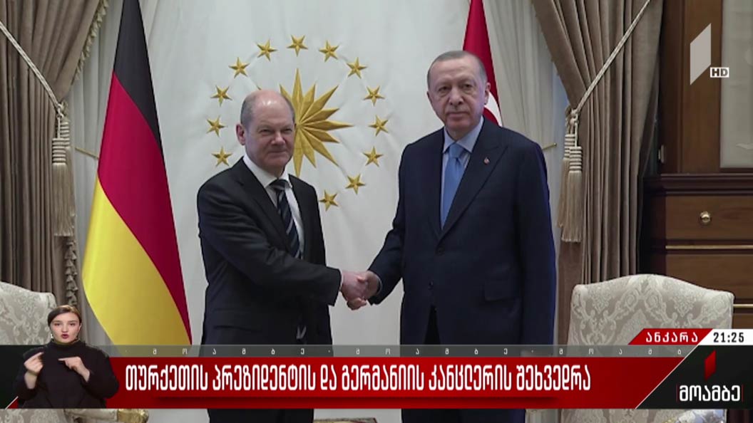 თურქეთის პრეზიდენტის და გერმანიის კანცლერის შეხვედრა