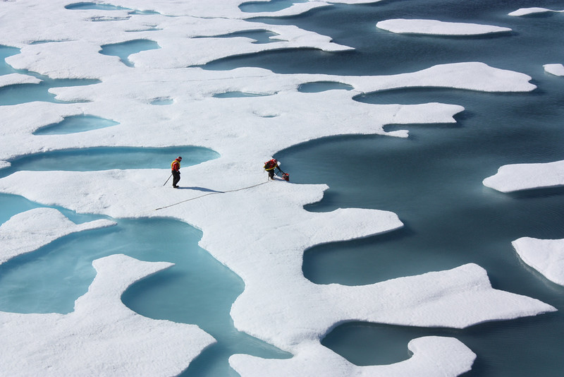 თანამგზავრული მონაცემები მიუთითებს, რომ არქტიკაში ყინული საგანგაშო მაჩვენებლით დნება — #1tvმეცნიერება