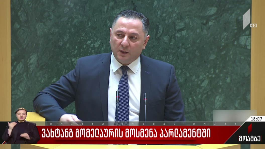 ვახტანგ გომელაურის მოსმენა პარლამენტში