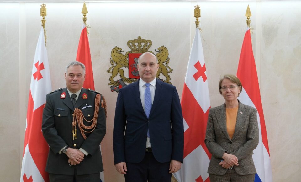 ჯუანშერ ბურჭულაძე ნიდერლანდების სამეფოს ელჩს შეხვდა