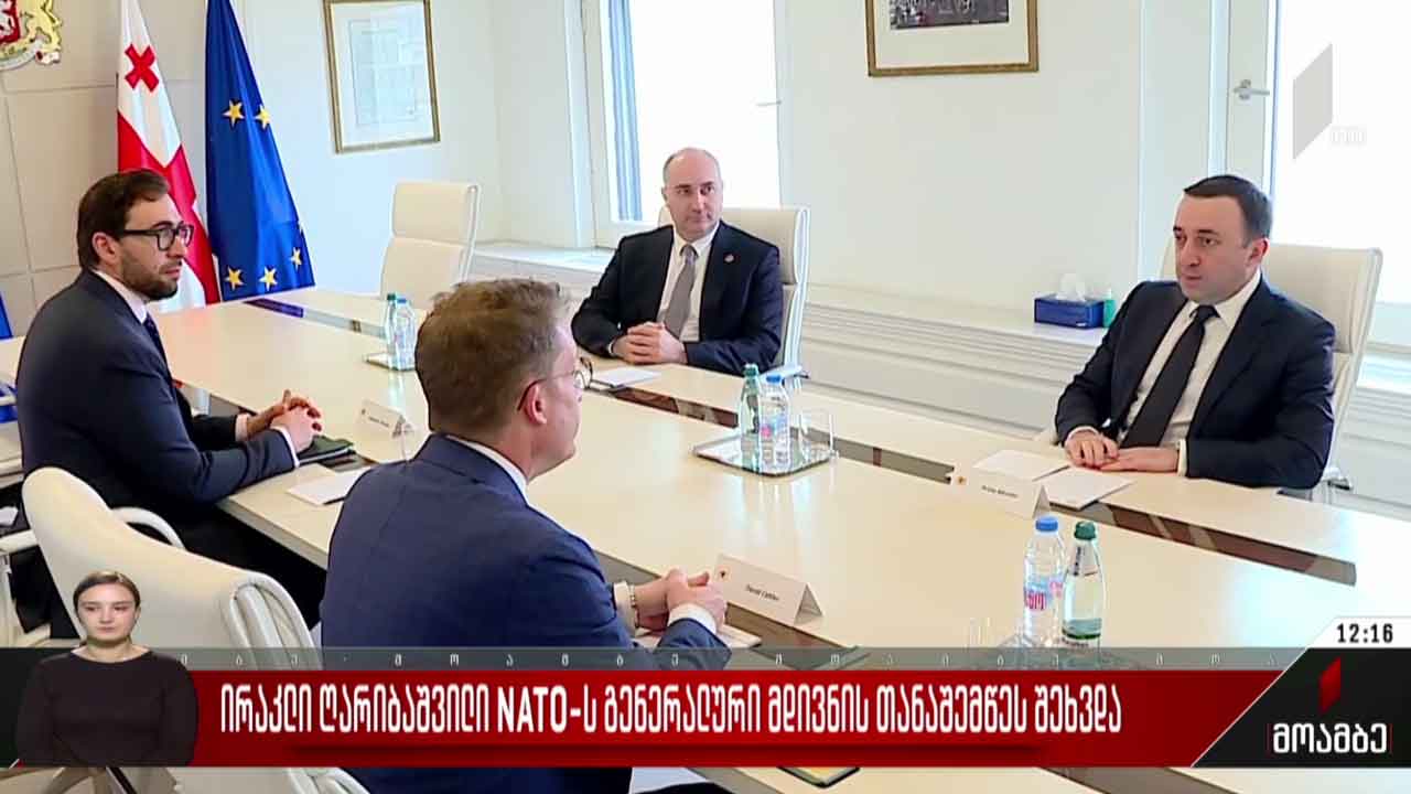 ირაკლი ღარიბაშვილი ნატო-ს გენერალური მდივნის თანაშემწეს შეხვდა