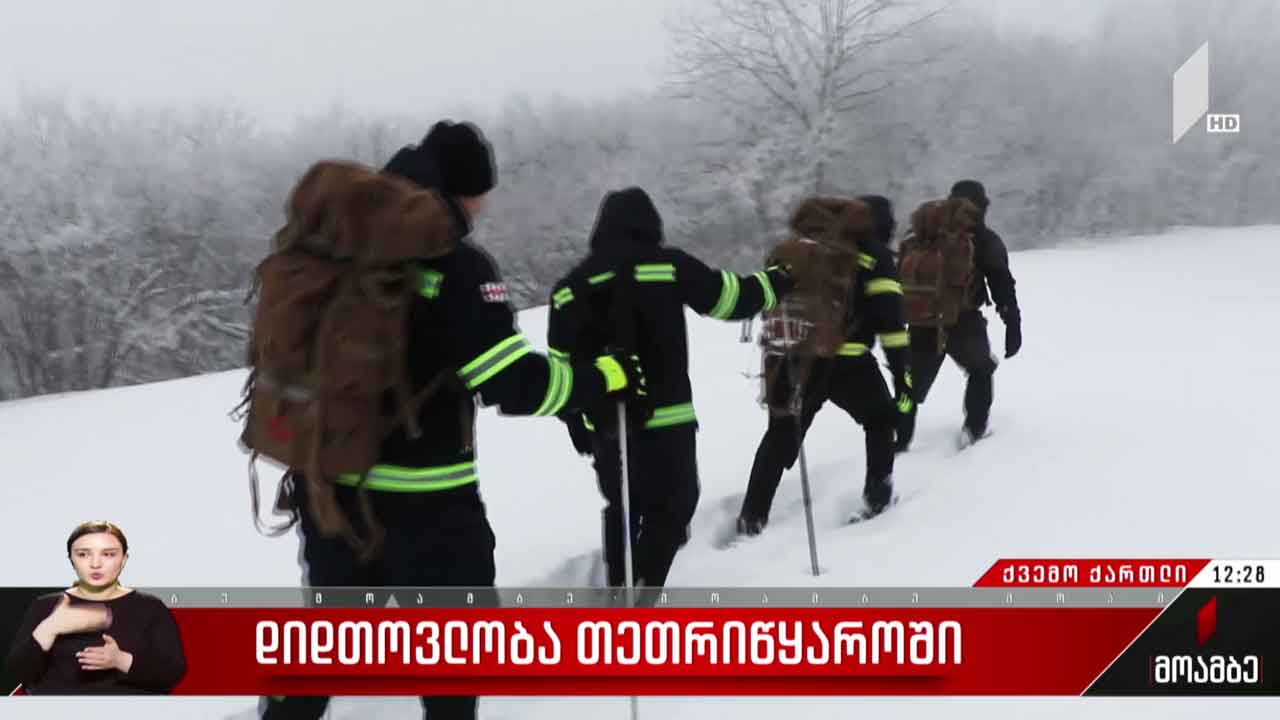 დიდთოვლობამ პრობლემები შექმნა ქვემო ქართლში