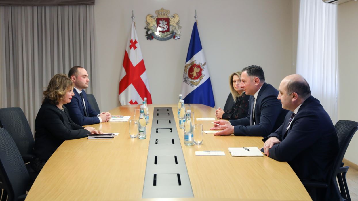 ვახტანგ გომელაურმა პერსონალურ მონაცემთა დაცვის სამსახურის უფროსთან, ლელა ჯანაშვილთან გაცნობითი შეხვედრა გამართა