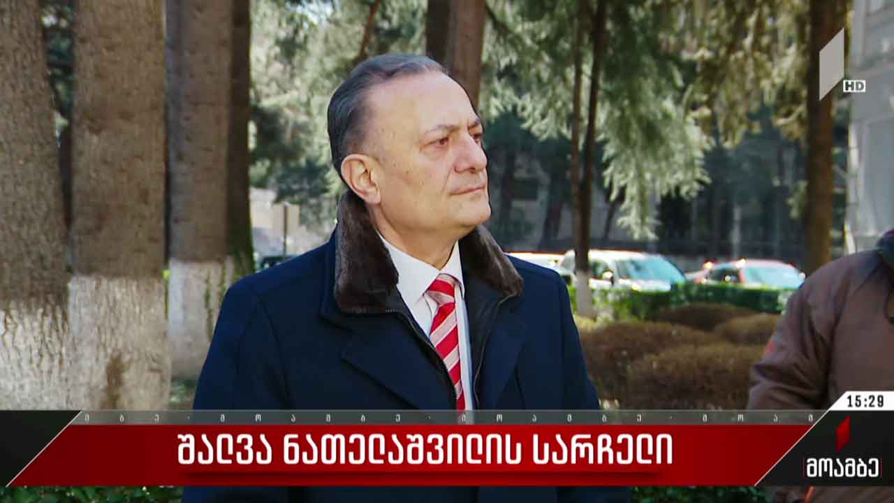 შალვა ნათელაშვილის სარჩელი