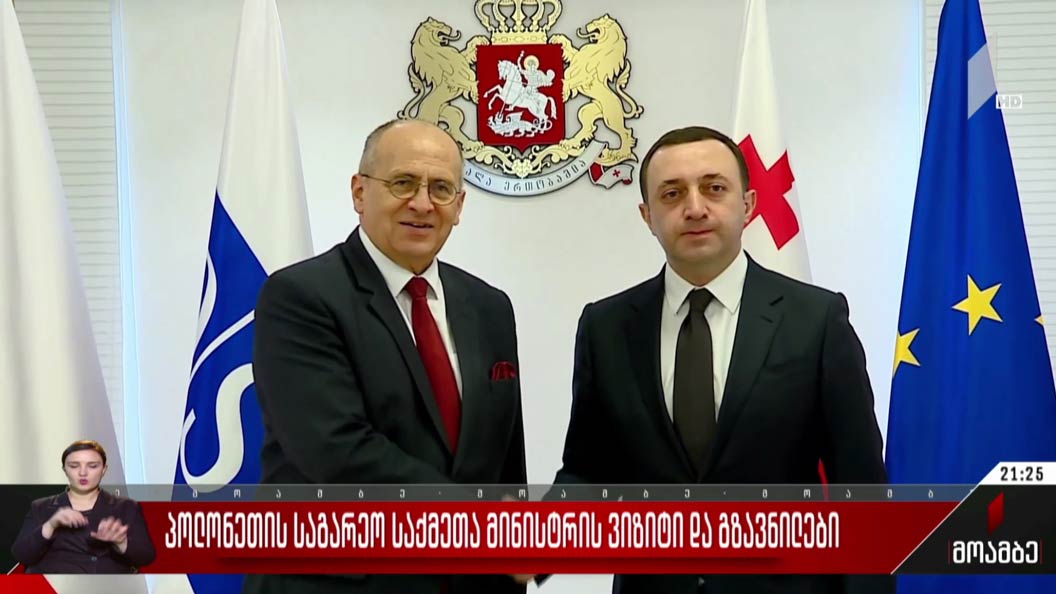 პოლონეთის საგარეო საქმეთა მინისტრის ვიზიტი და გზავნილები