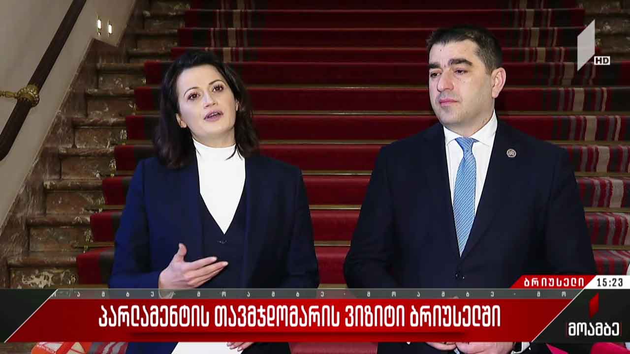 საქართველოს პარლამენტის თავმჯდომარის ვიზიტი ბრიუსელში