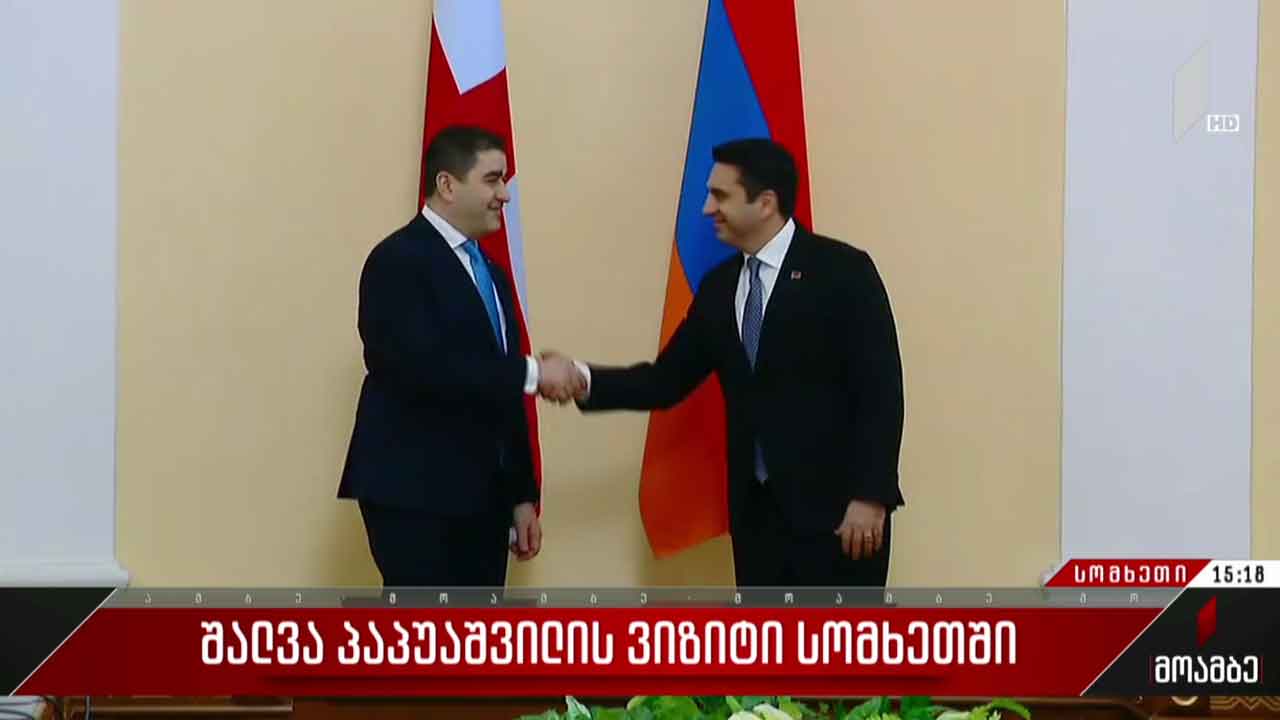 შალვა პაპუაშვილის ვიზიტი სომხეთში