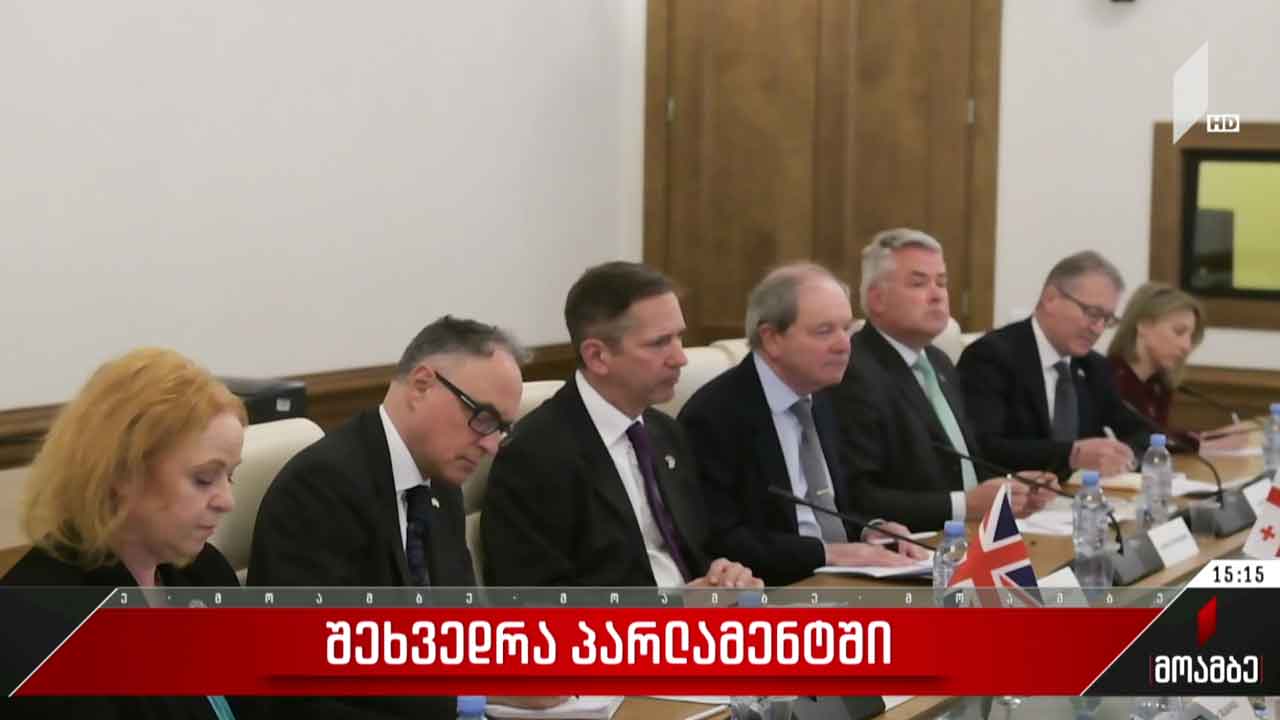 შეხვედრა საქართველოს პარლამენტში