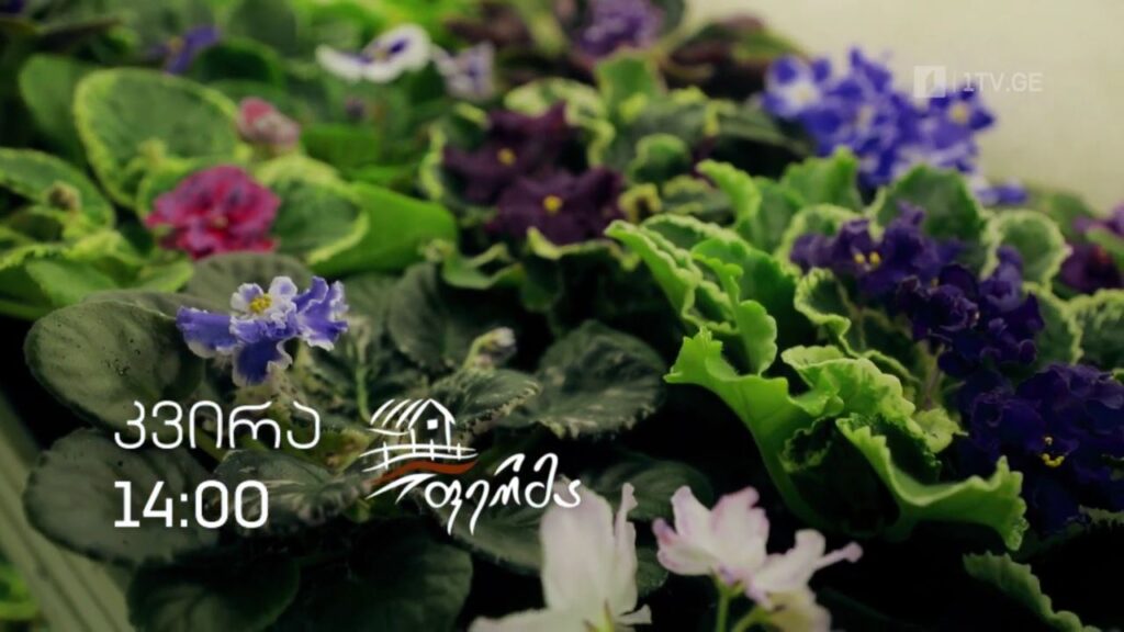 „ფერმა“ – 10 აპრილს, 14:00
