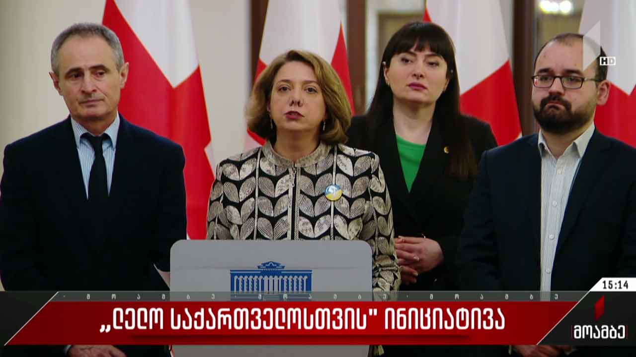 „ლელო საქართველოსთვის“ ინიციატივა - გამოხმაურებები