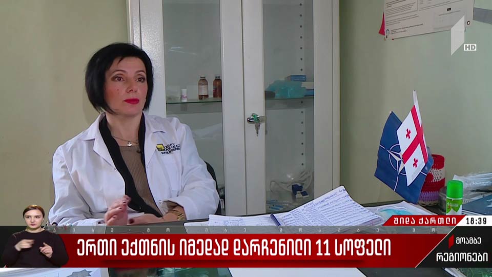 ერთი ექთნის იმედად დარჩენილი 11 სოფელი