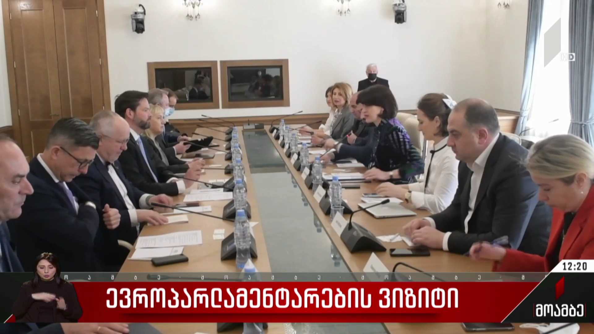 ევროპარლამენტარების ვიზიტი