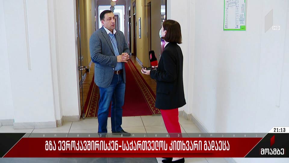 გზა ევროკავშირისკენ - შეფასებები პოლიტიკურ სპექტრში