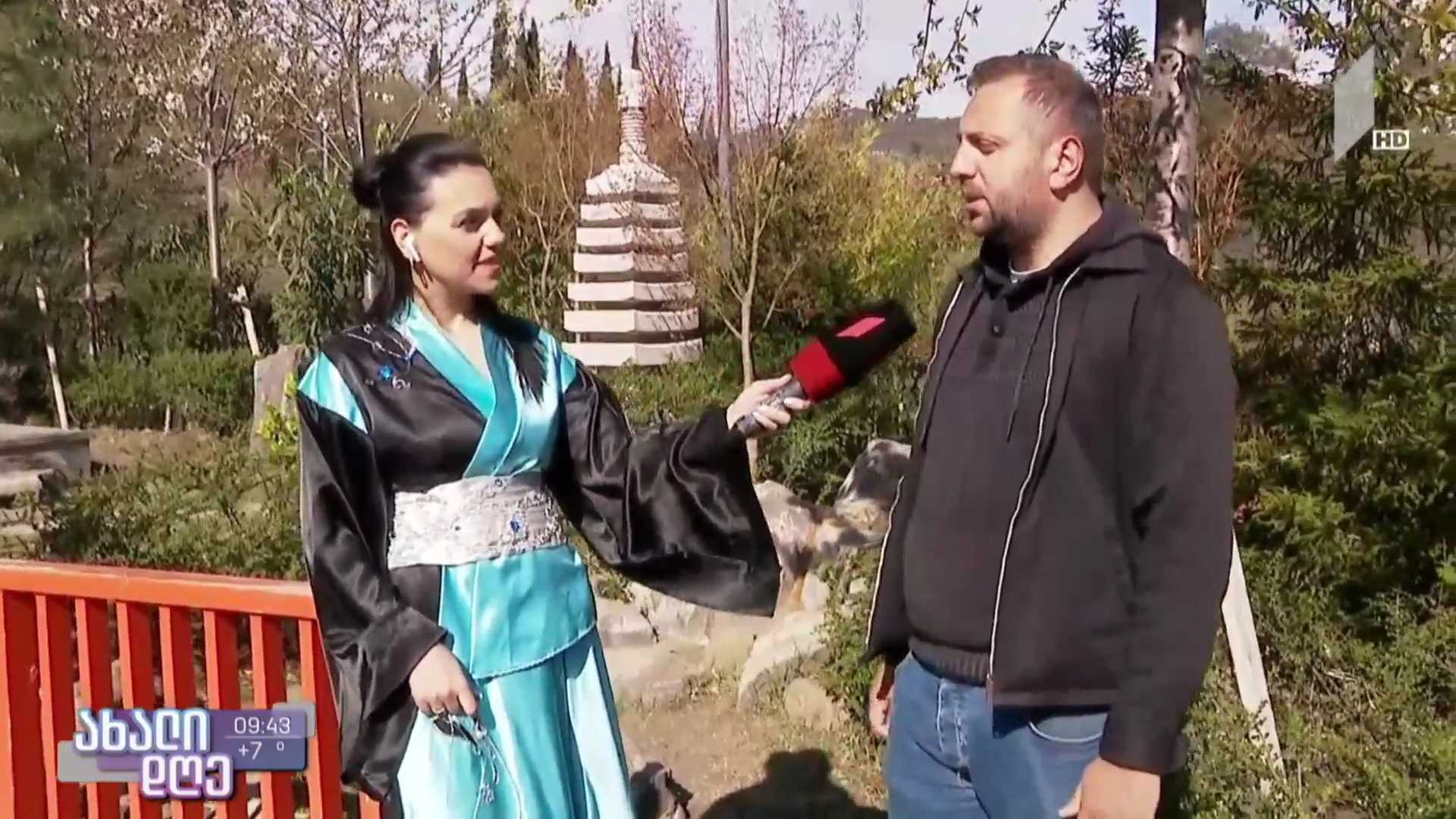 საკურას ყვავილობა იაპონურ ბაღში